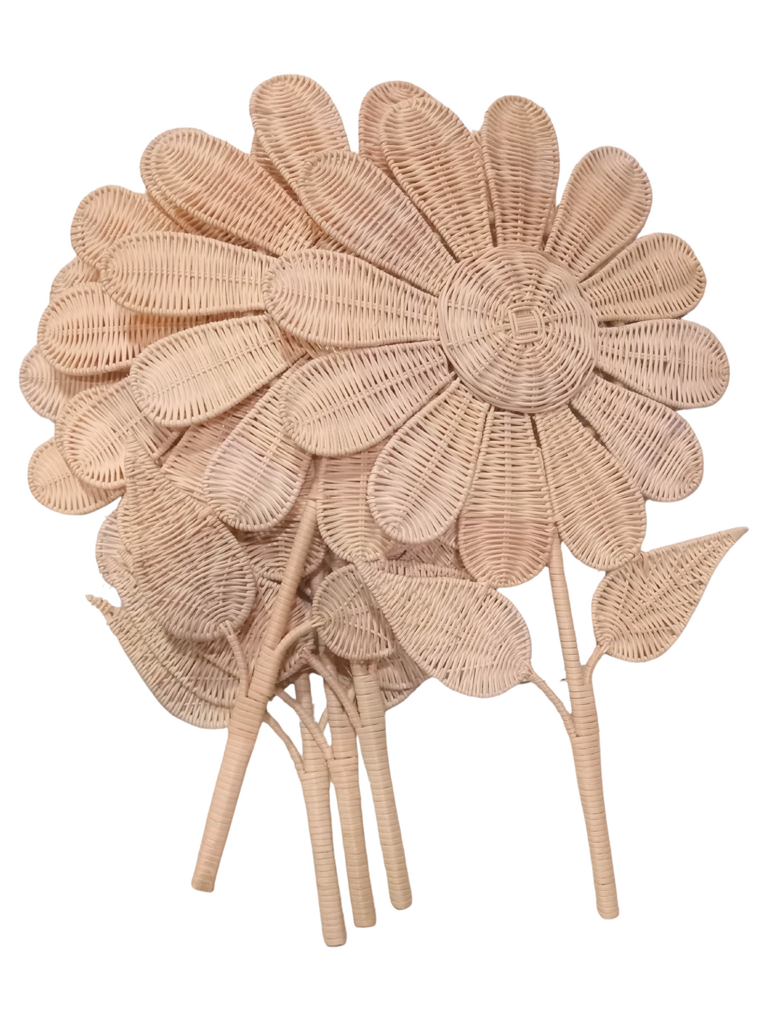 Daisy Bloom Wall Flower (PRE ORDER)