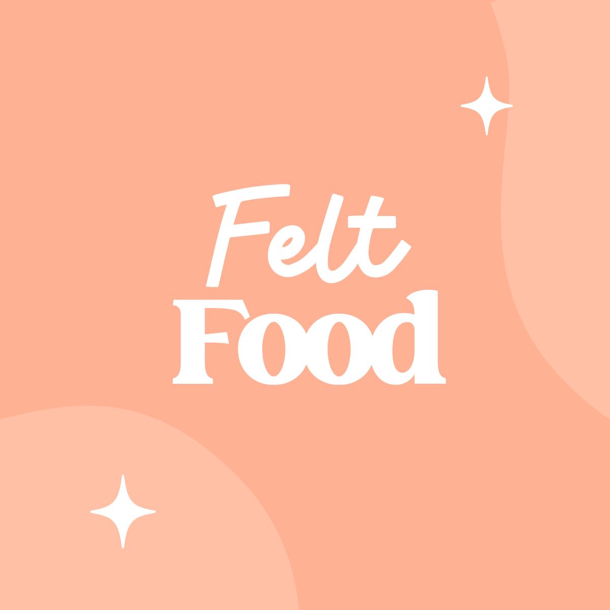 Felt Food