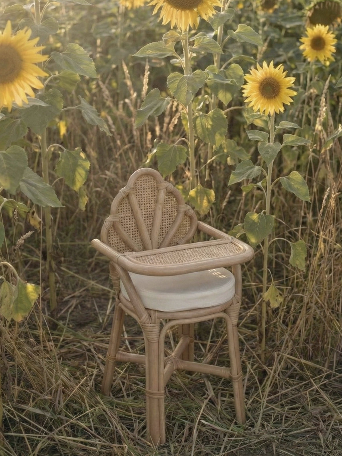 Isla Seashell Doll High Chair – Beach and Wood